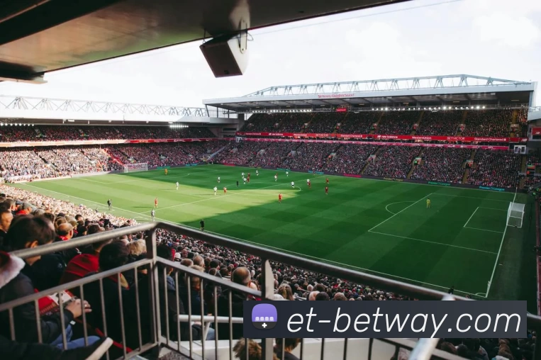 必威电竞官网APP 封面图